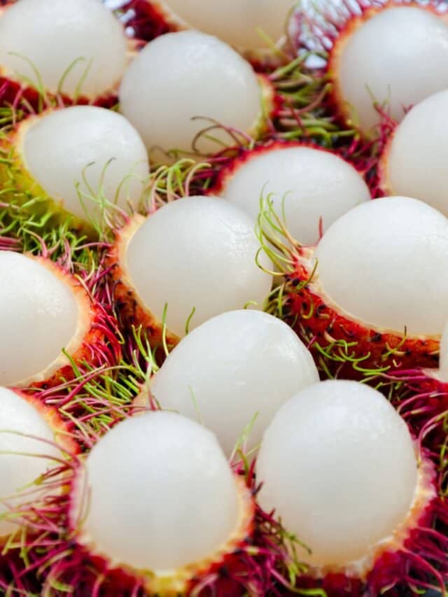 Rambutan (2)