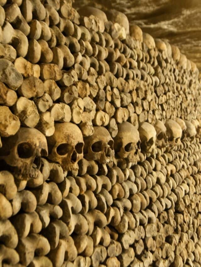 The Catacombs of Paris, France (3)